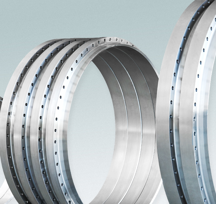 Zhejiang Daye Flange Co., LTD - The Only Designated Official Website